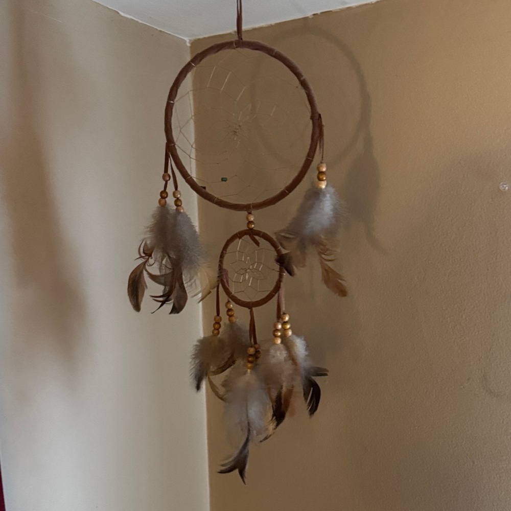 Brown Feathers Dreamcatcher Wall Decor